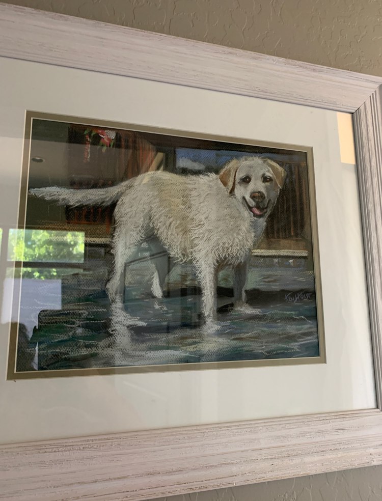 Framed white dog